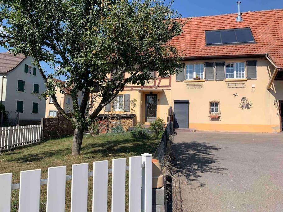 Gite Cosy Pour 2 A 4 Personnes, Village Proche Mulhouse Burnhaupt-le-Bas 外观 照片